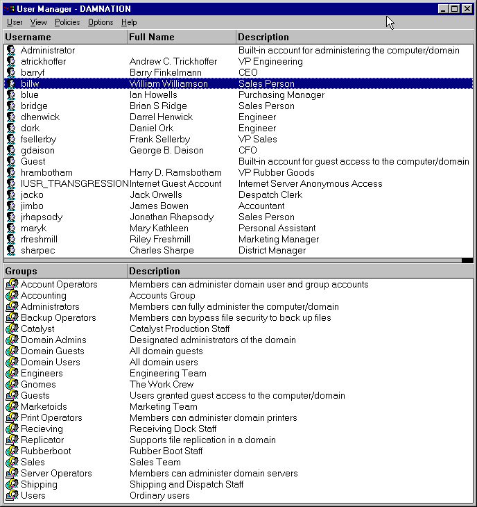 View of Accounts in NT4 Domain User Manager